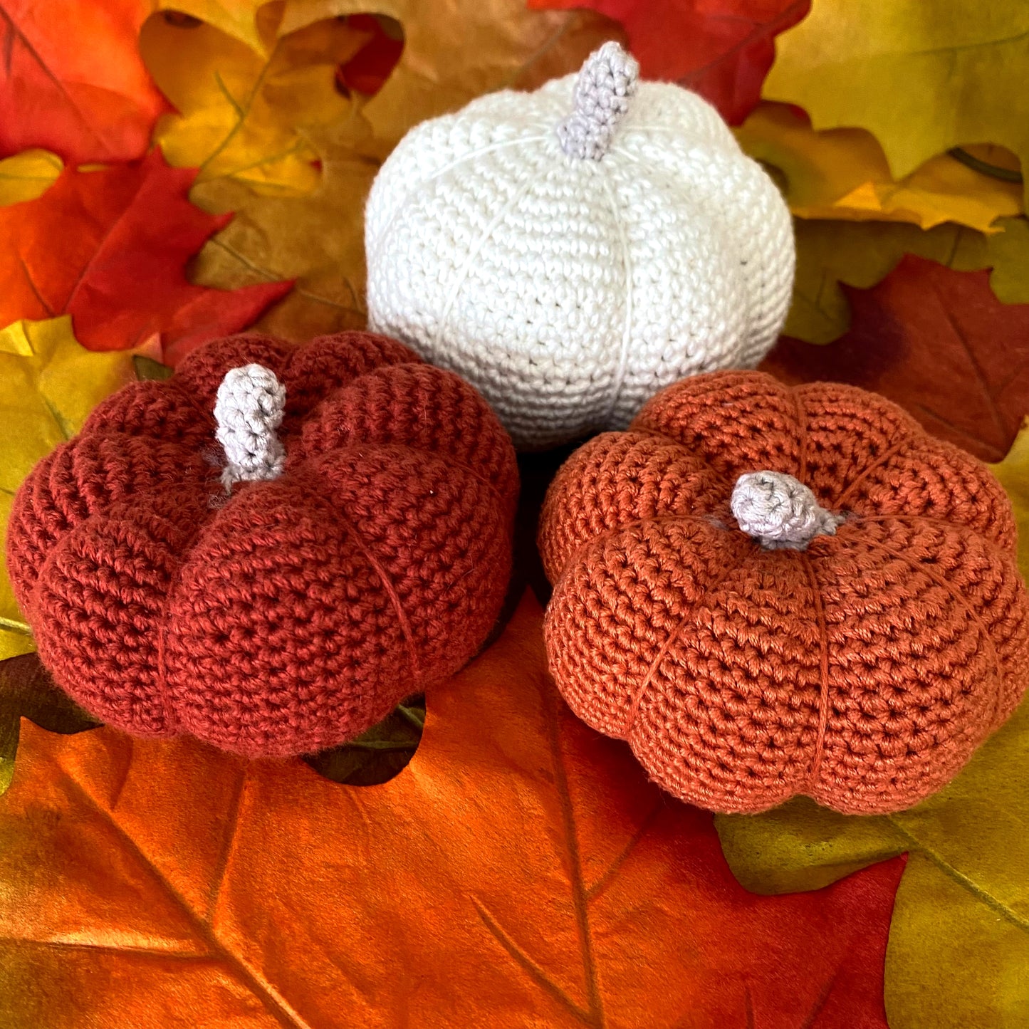 Kit de 3 calabazas